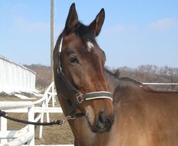 Poznávací zájezd členů  ASZ ČR na Slovensko