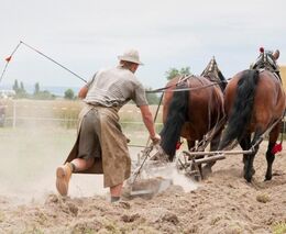 Vyrazte na Koňský den na farmu rodiny Marákových! Nudit se nebudete.