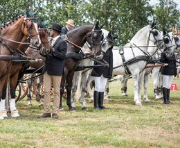 Hermelín ranč je členem Asociace svazů chovatelů koní ČR