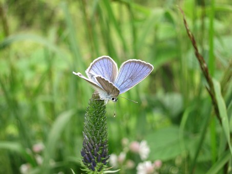 Biopásy – Informační materiál pro zemědělce