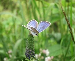 Biopásy – Informační materiál pro zemědělce