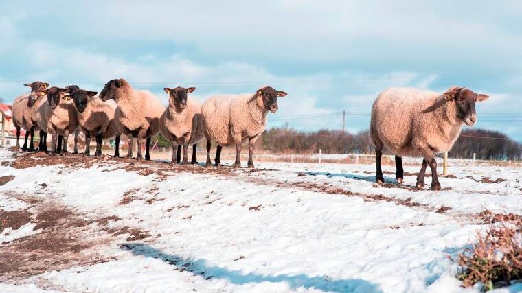 S Klubem mladých farmářů na Plzeňsko