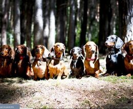 Týden podle PH č. 27 - 2017 (pH týdne: 5)