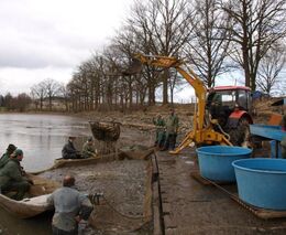 Týden podle PH č. 39 - 2017 (pH týdne: 9)