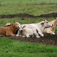 Farmáři na vymření