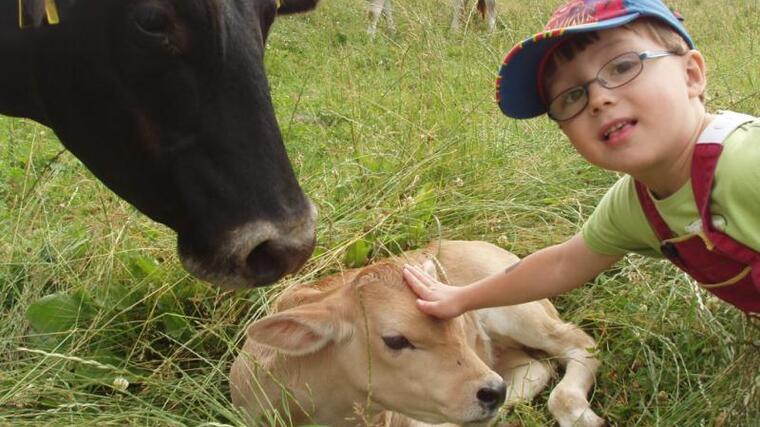 Den na farmě Škvařilových