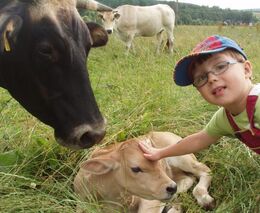 Dovolená mezi slepicemi a skotem. Agroturistika je v posledních letech velmi populární
