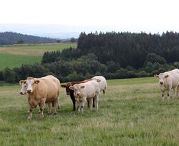 Matouš Horák: Zemědělcem z úřední milosti