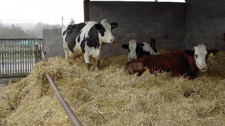 Místo pranostik tablet a GPS. Budoucnost zemědělství je z Přibyslavi
