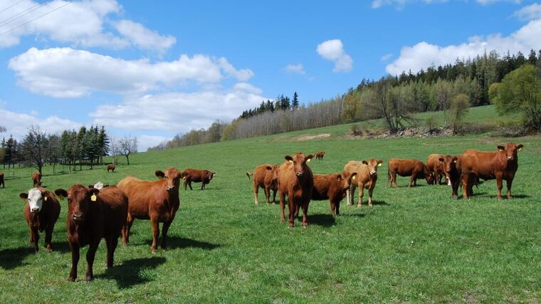 Komise zvyšuje výdaje na druhý pilíř SZP, aby zajistila dodržení „Zelené dohody“