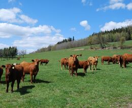 Komise zvyšuje výdaje na druhý pilíř SZP, aby zajistila dodržení „Zelené dohody“