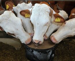 „Poslal mě předseda, prohlédnu si Prahu.“ Zemědělci si kvůli demonstraci hrozí žalobou 