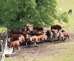 Týden podle PH č. 32 - 2019 (pH týdne: 5)