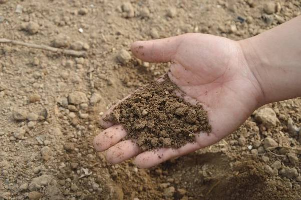 Farnost vypověděla pacht velkému agropodniku