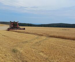 Společný dopis AK ČR a ASZ ČR: nesouhlasíme s navyšováním daní z nemovitých věcí