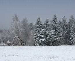 Zakmenění, nad tě není