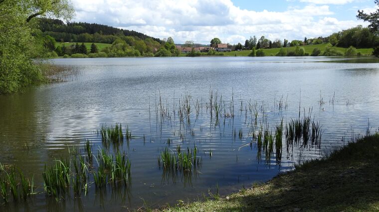 Nejhorší je rozhozený vodní režim, říká odborník o dopadu klimatických změn na tradiční rybníkářství