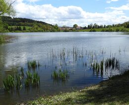 Nejhorší je rozhozený vodní režim, říká odborník o dopadu klimatických změn na tradiční rybníkářství