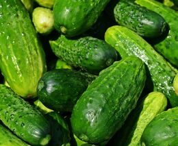 V Česku náhle končí velký výrobce potravin. Zaměstnanci letí na dlažbu, zákazníkům podstrčí něco jin