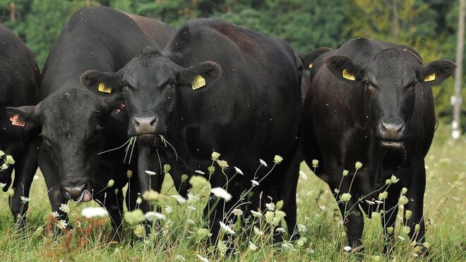 Ekologická farma Koňákov