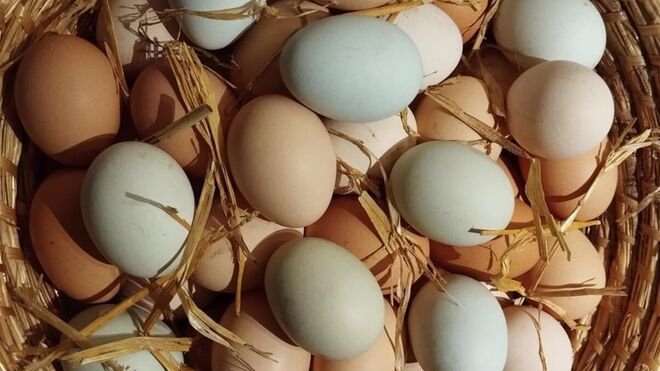 Bio farma Bedřichov