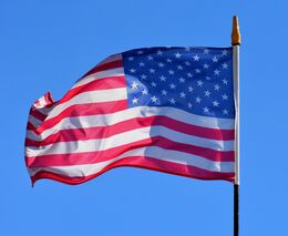 Odborníci: Americká cla mohou zdražit sóju do krmiv a vytvořit přebytek vín v EU