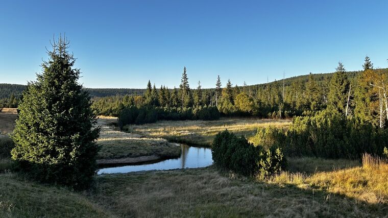 Globální studie ukazuje, jak klima, půda a dusík ovlivňují schopnost ekosystémů ukládat uhlík