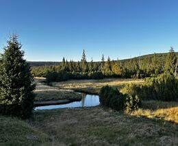 Globální studie ukazuje, jak klima, půda a dusík ovlivňují schopnost ekosystémů ukládat uhlík
