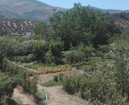 V Itálii a Španělsku čelí mimořádnému suchu, v Alpách je o 70 procent méně sněhu 