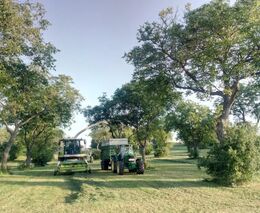 Odborný seminář na téma Agrolesnictví a stromy v krajině