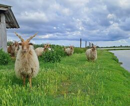 Se sedláky z Čech i Moravy za ekologickým zemědělstvím východního Rakouska