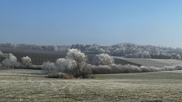 Zemědělec Šebek: Česko čeká další vlna agrofertizace, Babiš nám věší bulíky na nos