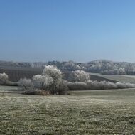 Zemědělec Šebek: Česko čeká další vlna agrofertizace, Babiš nám věší bulíky na nos