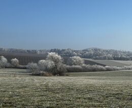 Zemědělec Šebek: Česko čeká další vlna agrofertizace, Babiš nám věší bulíky na nos