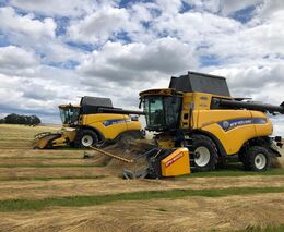 Zemědělci mají téměř sklizeno, výnos je oproti loňsku vyšší