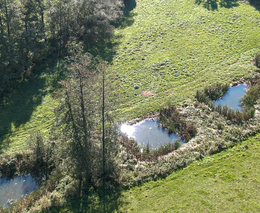 Farma Petra Horčíka - druhá zlatá medaile v programu Pestrá krajina 2022