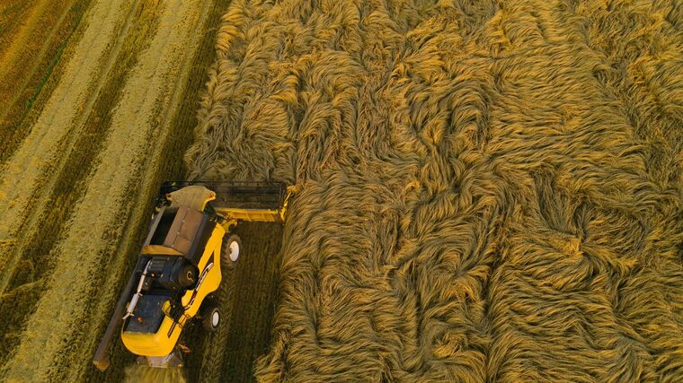 Odpad z produkce biopotravin zkusí vědci přeměnit na půdní substrát a část krmiva