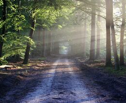 Týden v zemědělství podle Petra Havla – č. 20