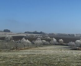 Týden v zemědělství podle Petra Havla - č. 3