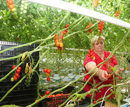 Týden v zemědělství podle Petra Havla – č. 27