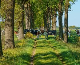 Taxonomie: Princip, který může ovlivnit zemědělství více než dotace