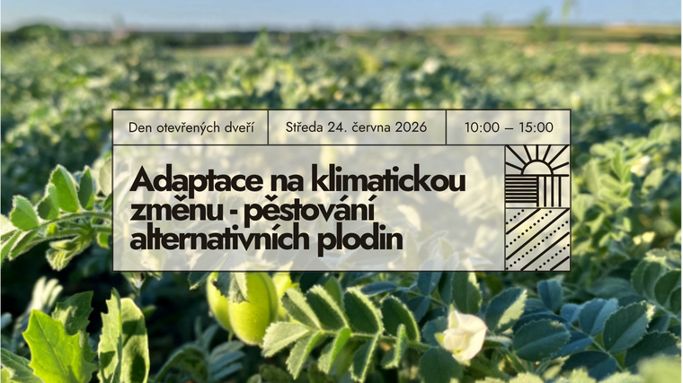 Pozvánka na DOD v ekologickém vinařství Weinhof Koller v Rakousku – Pěstování alternativních plodin