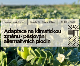 DOD v ekologickém vinařství Weinhof Koller v Rakousku – Pěstování alternativních plodin