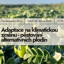Pozvánka na DOD v ekologickém vinařství Weinhof Koller v Rakousku – Pěstování alternativních plodin