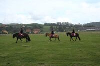 Chodouň - příklad obce, v níž to i díky sedlákům stále žije
