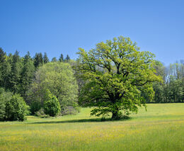 Pestrá krajina 2024 - pozvánka na konferenci a vyhlášení výsledků 