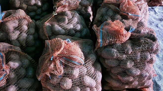 Rodinná farma Tomášovi