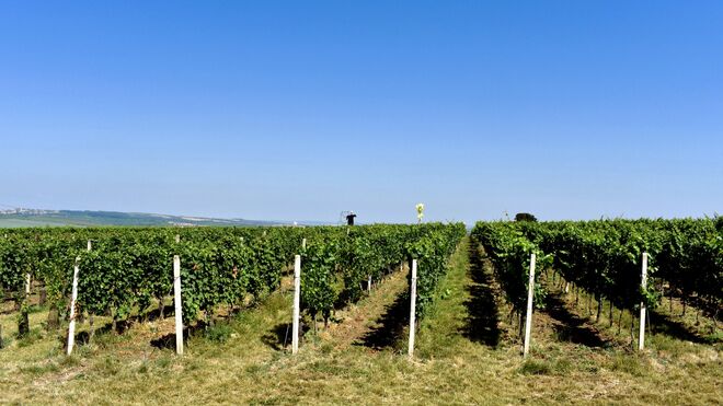 Vinařství Pavel Veselský