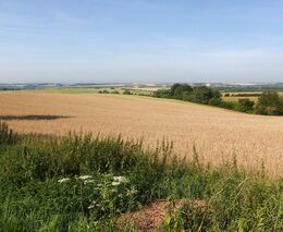 Zemědělci na jihu Čech nemají místo pro letošní úrodu. Neprodali obilí do zahraničí
