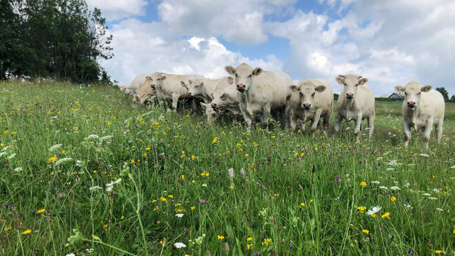 Statek U svatého Jána